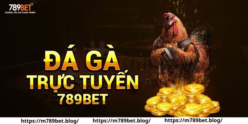 Đá gà trực tuyến 789BET bộ môn giải trí được yêu thích nhất