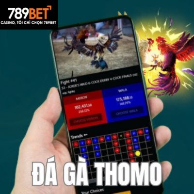 Đá gà Thomo tại 789BET