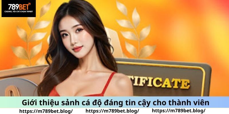 Giới thiệu sảnh cá độ đáng tin cậy cho thành viên